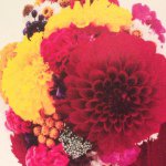 10755932_394884550663529_640480303_a