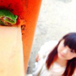 10899557_798185266885727_1186953703_a