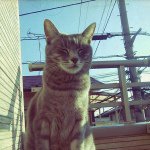 1599279_580770852045844_1880784374_a