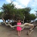 11821831_1447182972278235_1195899372_a