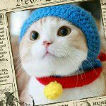 11875556_522014434618036_1209656423_a