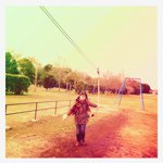 11259958_937903996266045_728416303_a