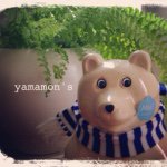 10725020_1521223358118420_1291197205_a