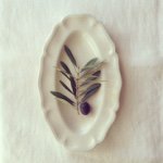 10691784_415157818649234_1121837592_a