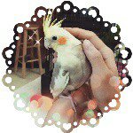 10727473_935798823147298_2092889622_a