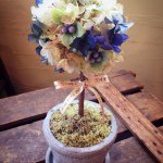 10881826_648176378627173_1386443178_a