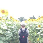 11351792_1661239530760654_709678644_a