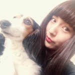 11098343_1602039406719398_154774737_a