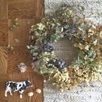 11821288_876780362405739_325381629_a