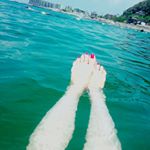 11910297_165467597119315_1583892765_a