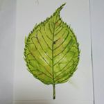 11809872_885574201496537_1659694120_a