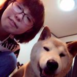 11809804_146625259011236_366732917_a