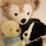 10611202_1053391194693964_1432151834_a