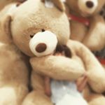 11428351_924112540993566_2049905636_a