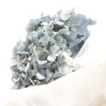 11875487_1054275064583470_1473826328_a