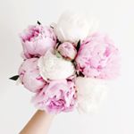 11429779_1638020559815102_975455385_a