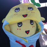 11333342_1647233032184360_695494167_a