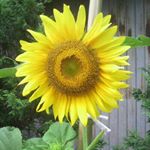 11849826_1652629304974808_1498559563_a