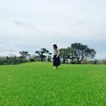 11820471_756857454437741_1908545190_a