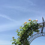 11265903_802414749872058_609048257_a