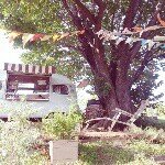 11849425_955768417822758_41356190_a