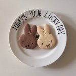 11357498_103066393364544_1326159053_a