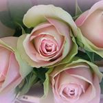 11424704_1624986474452217_1980248125_a