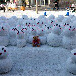 10919643_1553559468239491_591027529_a