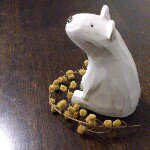 11349390_1696537860565098_902467870_a