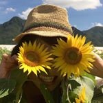 11313222_748423315267751_1975321009_a