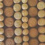 11950599_1730443563836946_339797005_a