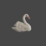 10787876_752083954864665_9185781_a