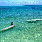 11371298_101937080159565_231309448_a