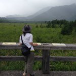 1515429_877502545630958_307524796_a