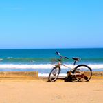 11410450_1864704163755802_1834858156_a