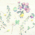 11235901_384266745096426_791036969_a