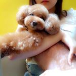 11373989_1467587723544827_371175877_a