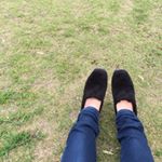 11950749_150632201944727_359230995_a