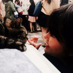 11055879_790780071010231_1658349885_a