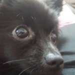 11191216_114343525574555_1537154283_a