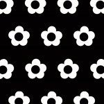 10949044_775543802514552_275694762_a