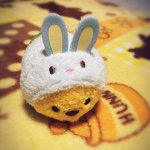 11203189_1431418133829162_1564168077_a