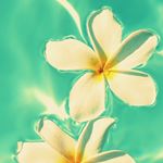 11373670_1471586946475661_891131931_a