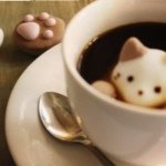 925911_548903058553513_2027560734_a