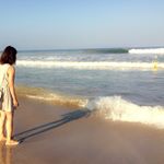 11925579_470136483158125_928878837_a