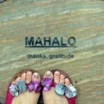 11849967_754365191357125_1406114531_a