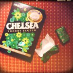 11809543_1635934846661254_1391048726_a