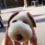 11875319_1486051531695150_870614281_a