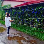 11376194_746462378810545_156740173_a