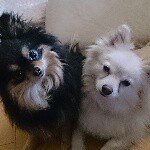 11049322_1056658997683002_1324600808_a